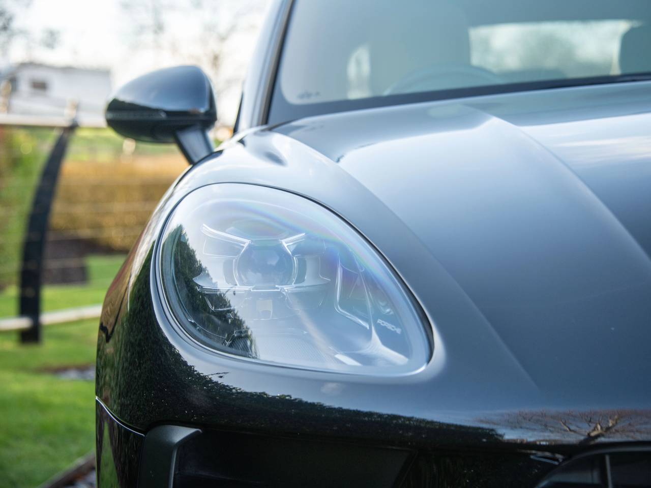 Macan PDK (125) image 11