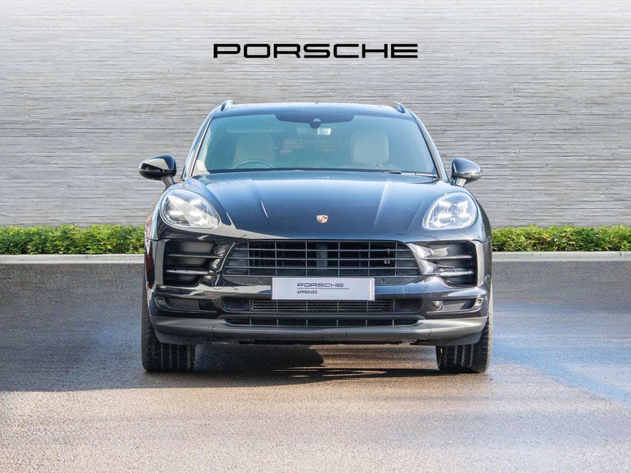 Macan PDK (125) image 06