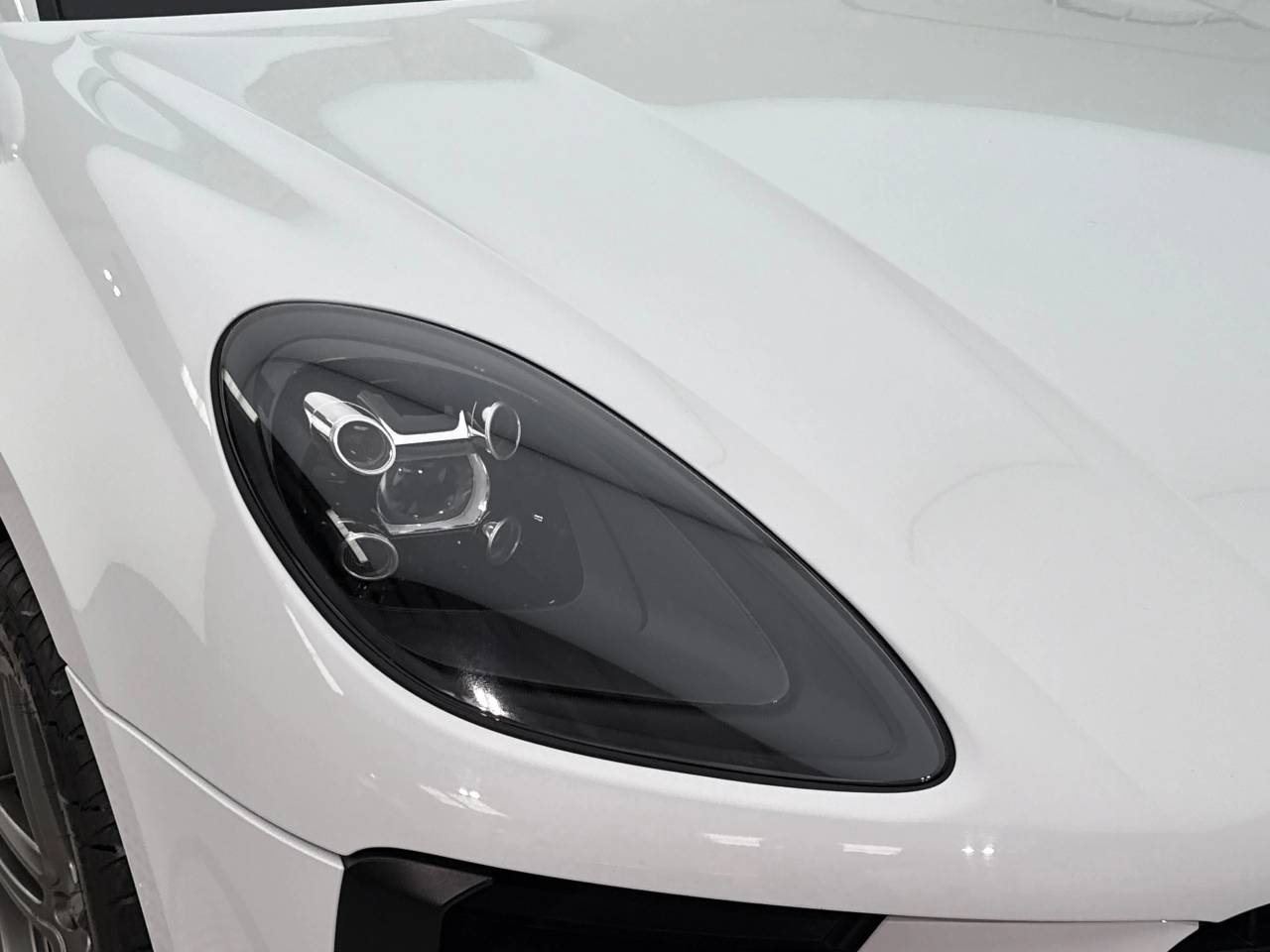 Macan PDK (169) image 11
