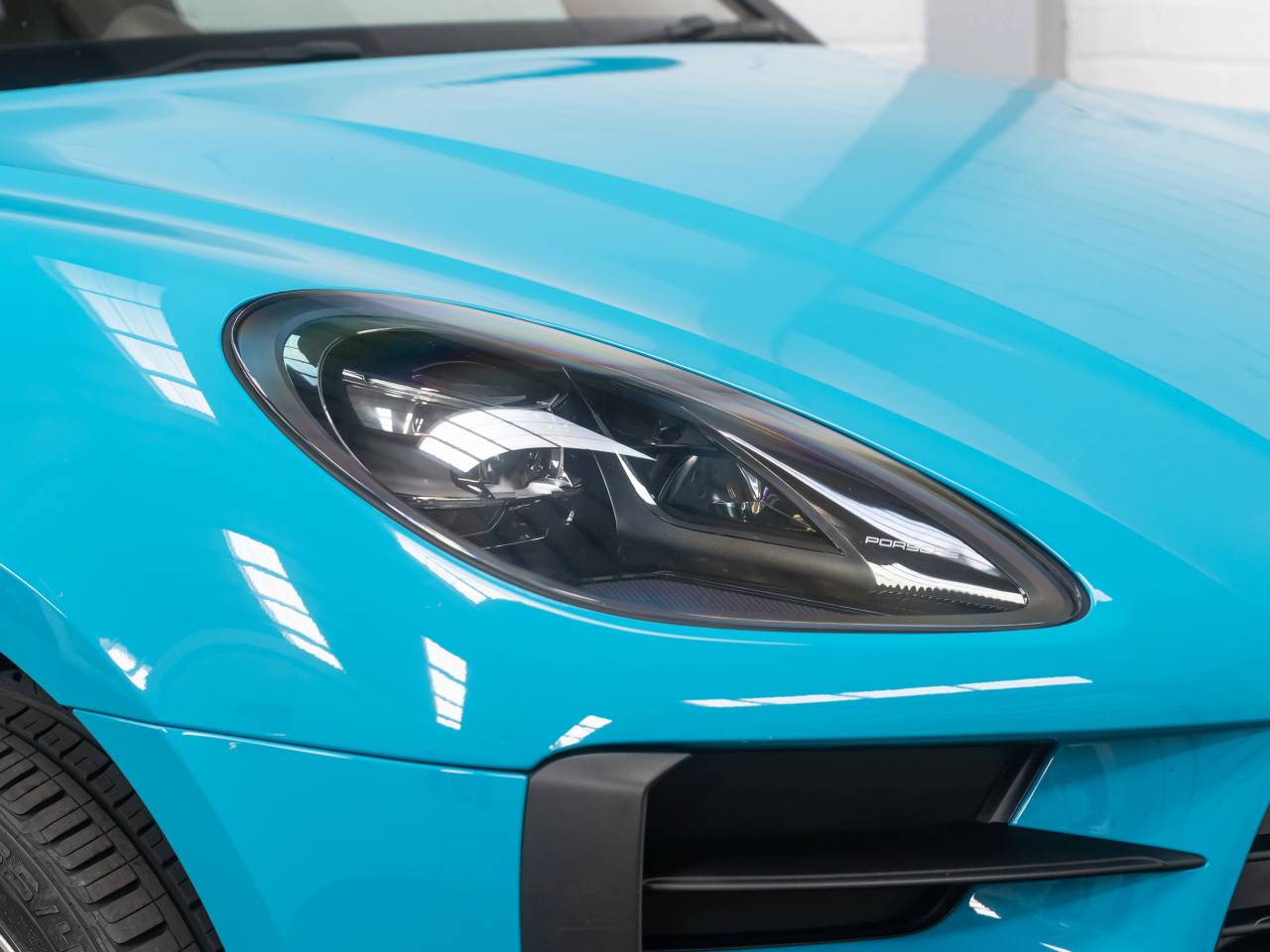 Macan PDK (47) image 11