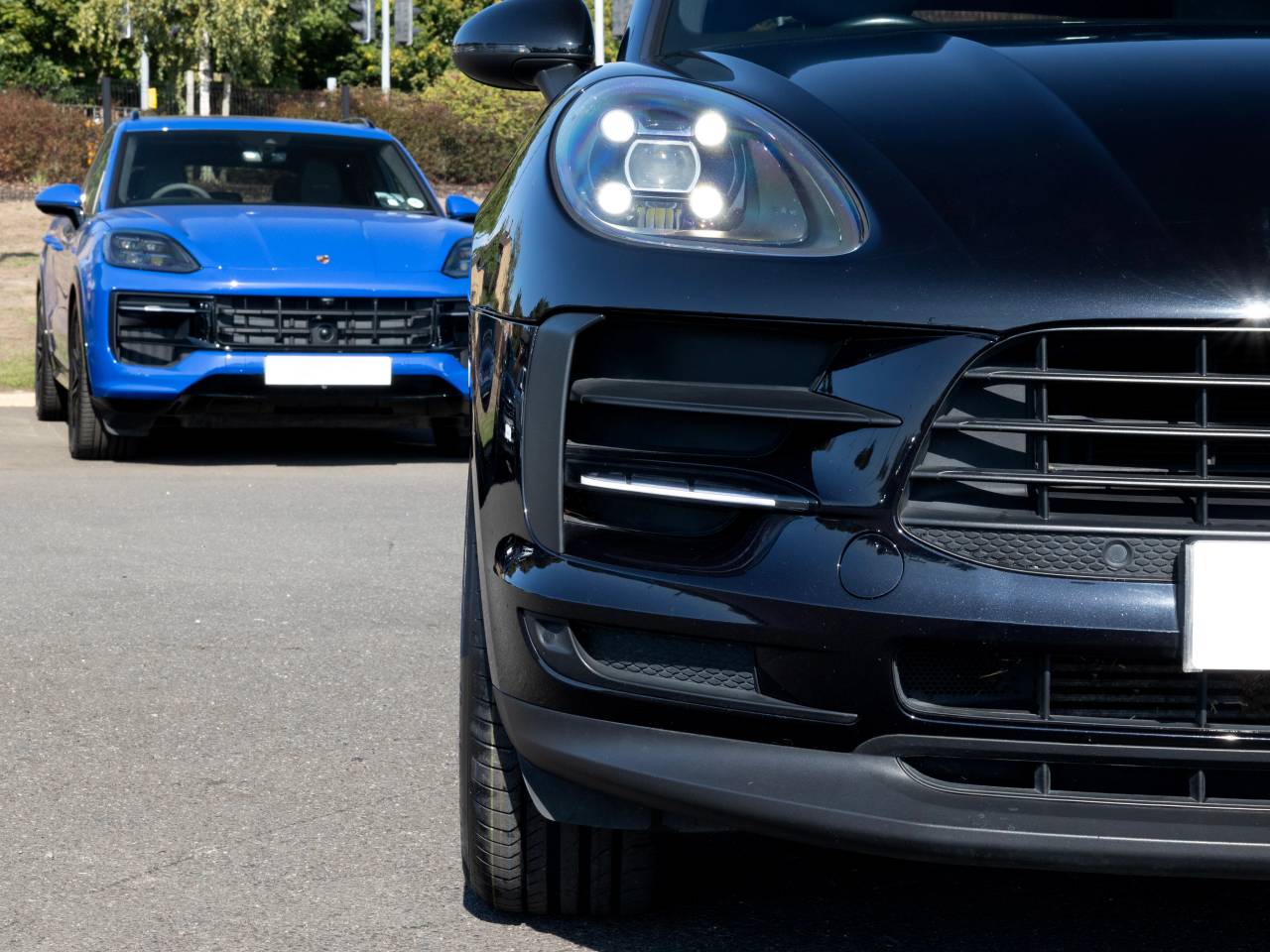 Macan PDK (64) image 19