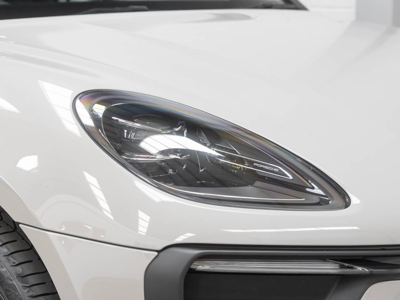 Macan PDK (48) image 12
