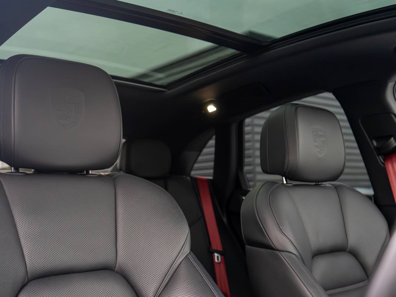 Macan PDK (80) image 30