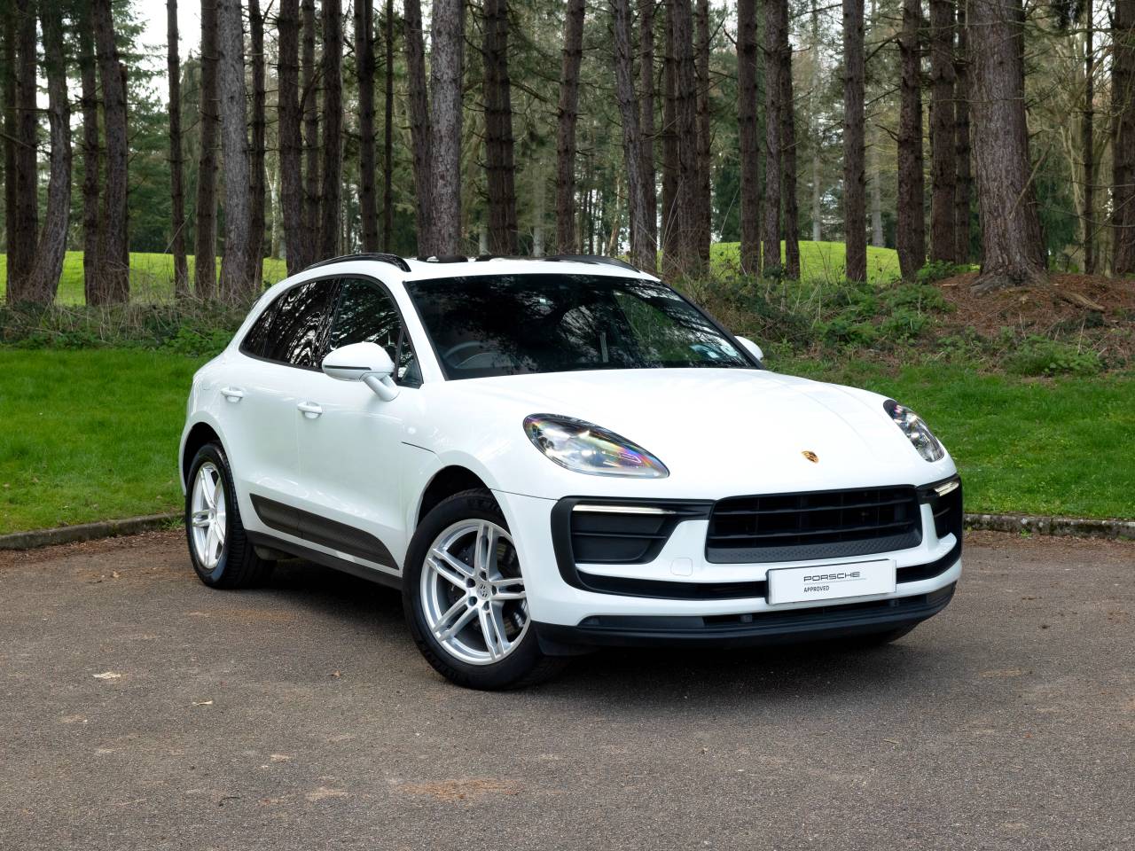 Macan PDK