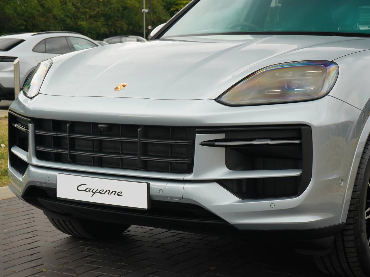 Cayenne (20) image 13