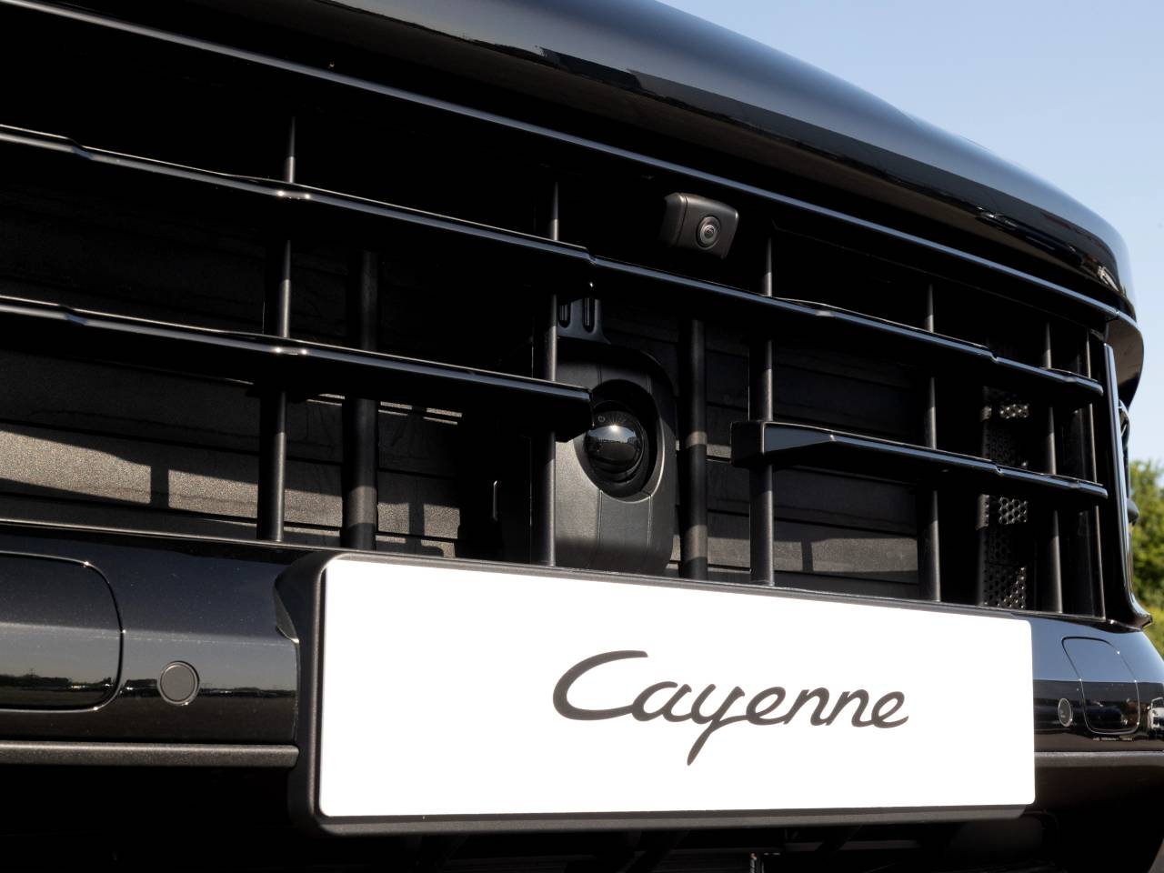 cayenne (76) image 79