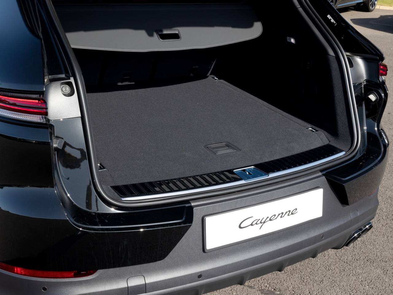 cayenne (76) image 75