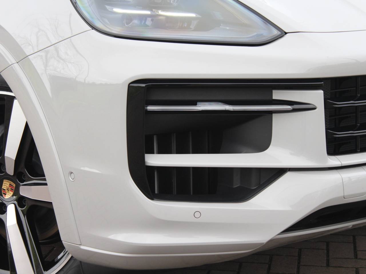 Cayenne (7) image 11