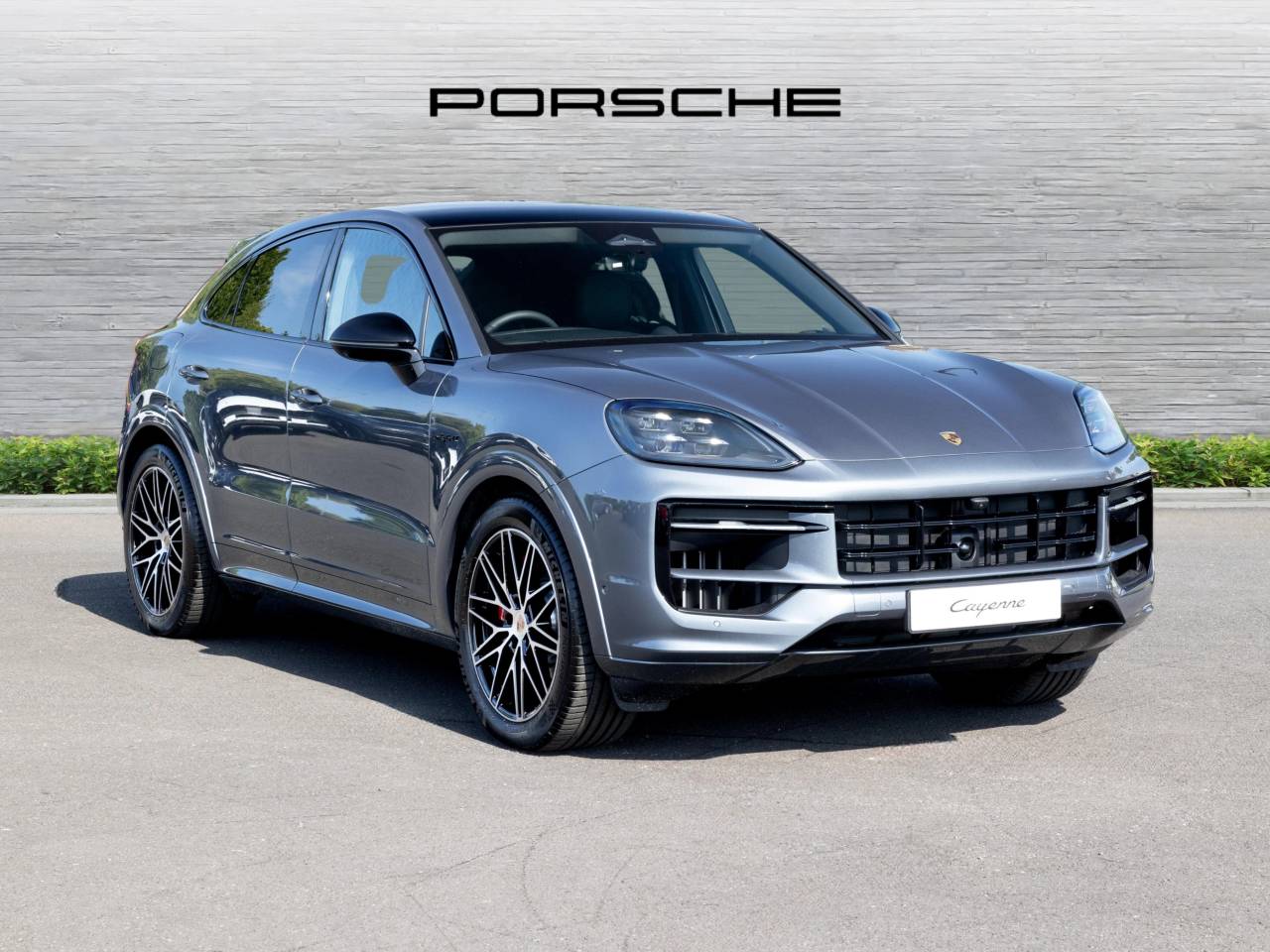 cayenne (67) image 15