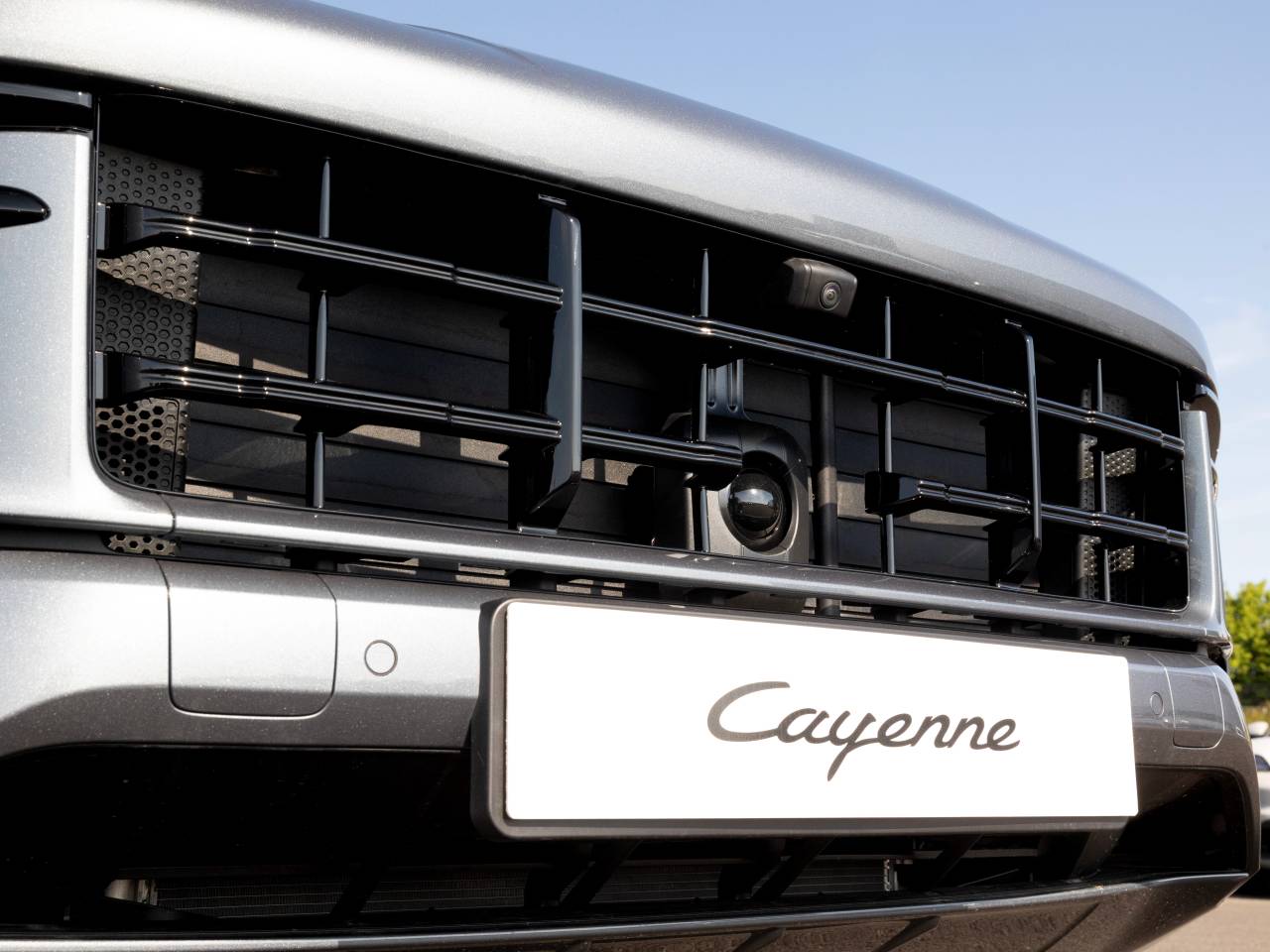 cayenne (67) image 18