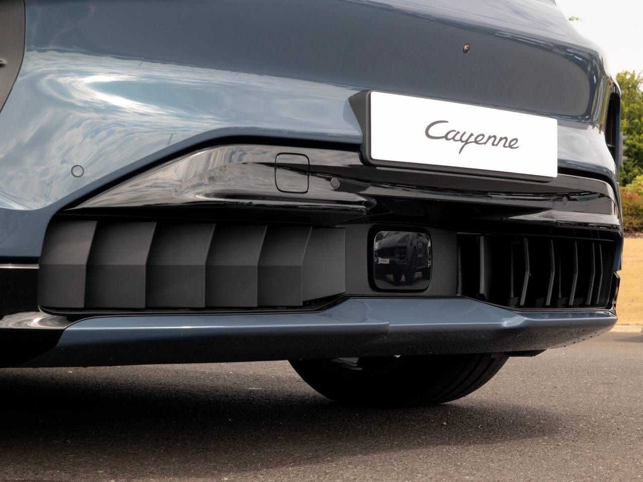 Cayenne (84) image 31