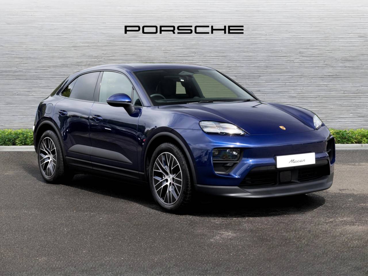 Macan (82) image 15