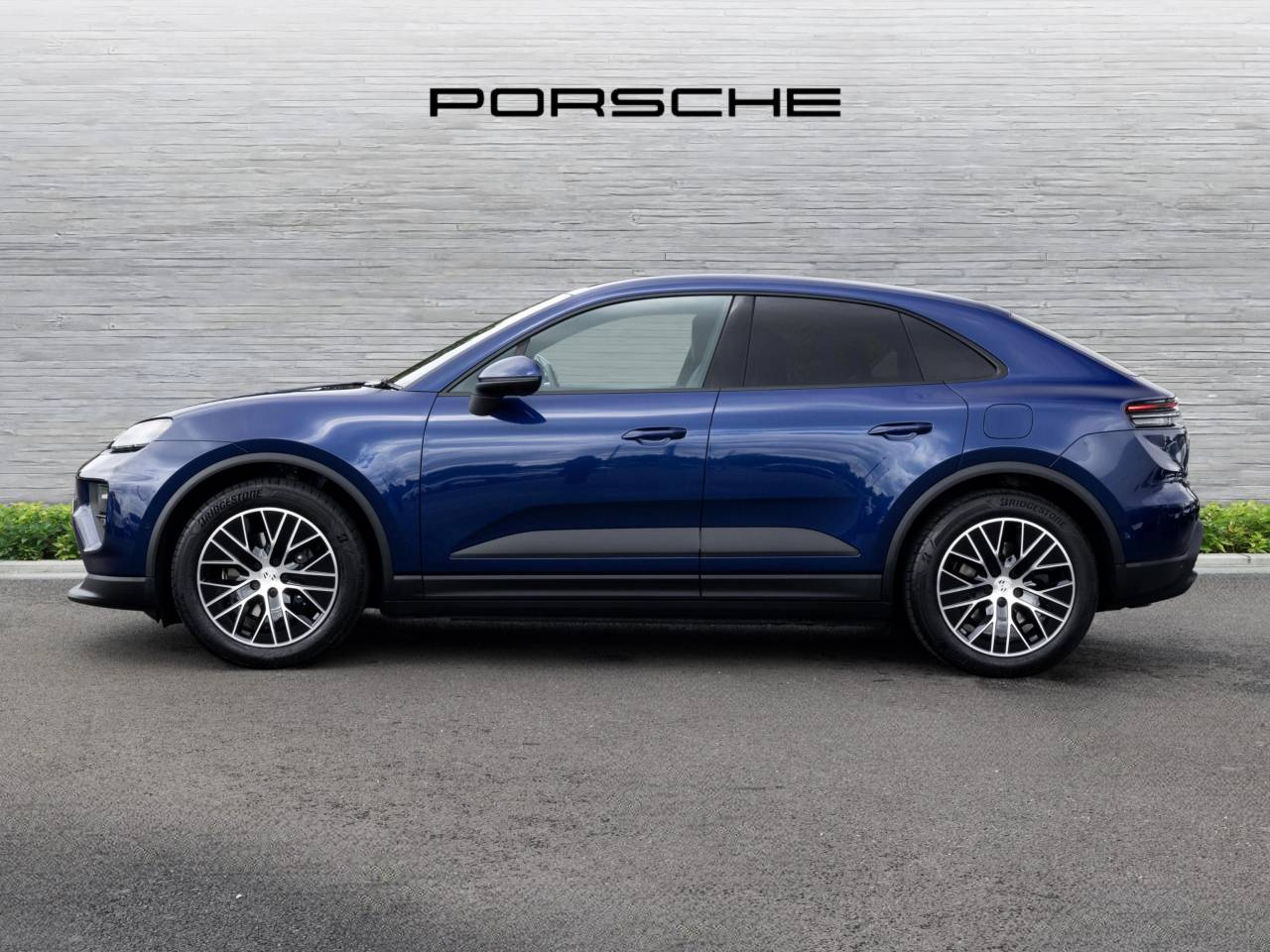 Macan (82) image 12