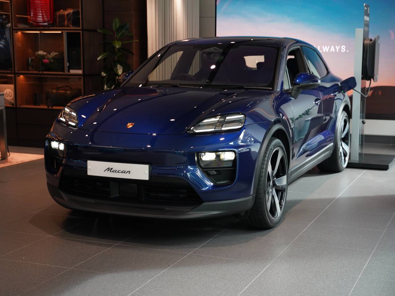 Macan 