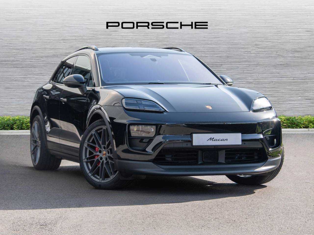 Macan 