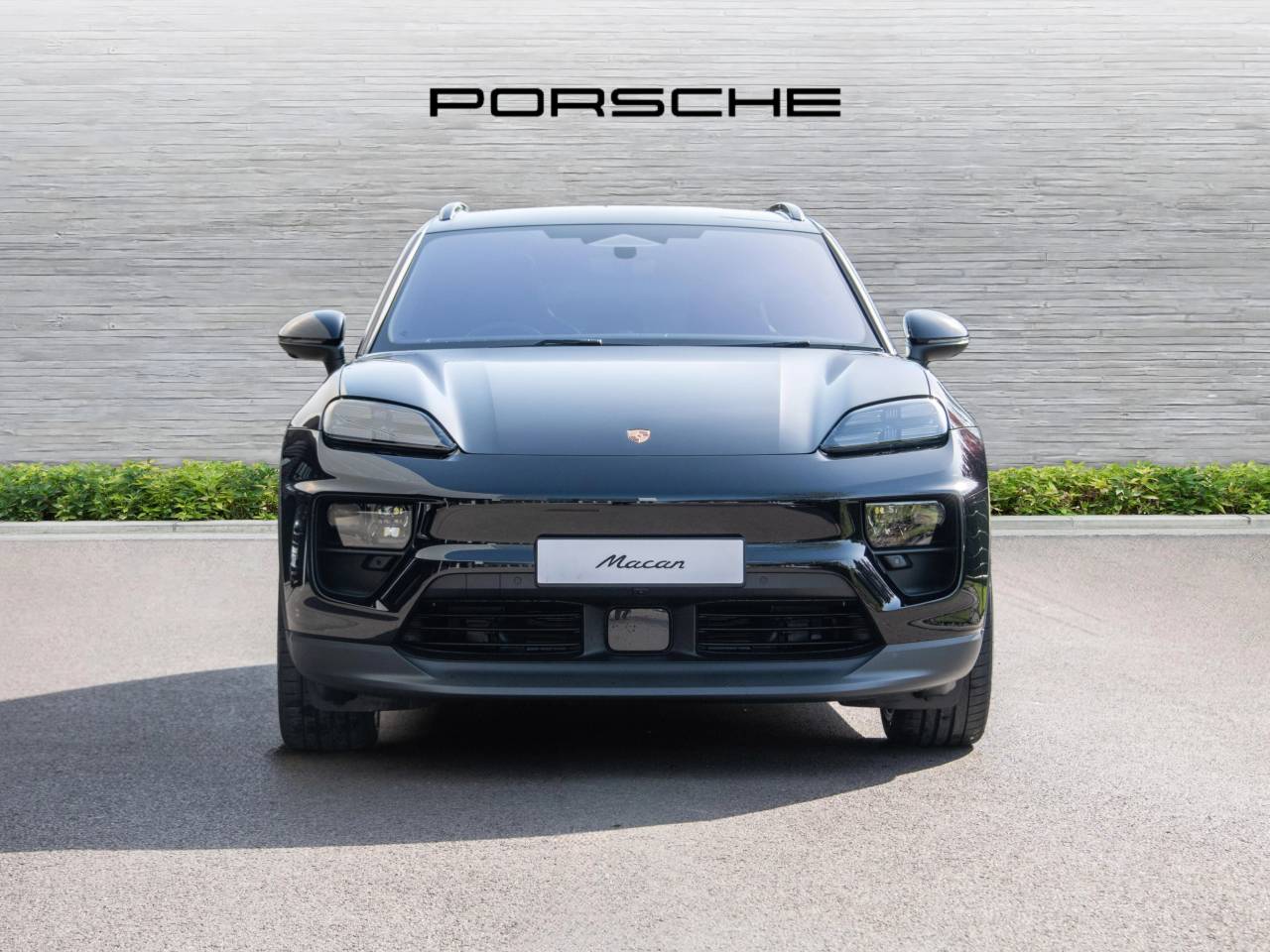 Macan (64) image 06