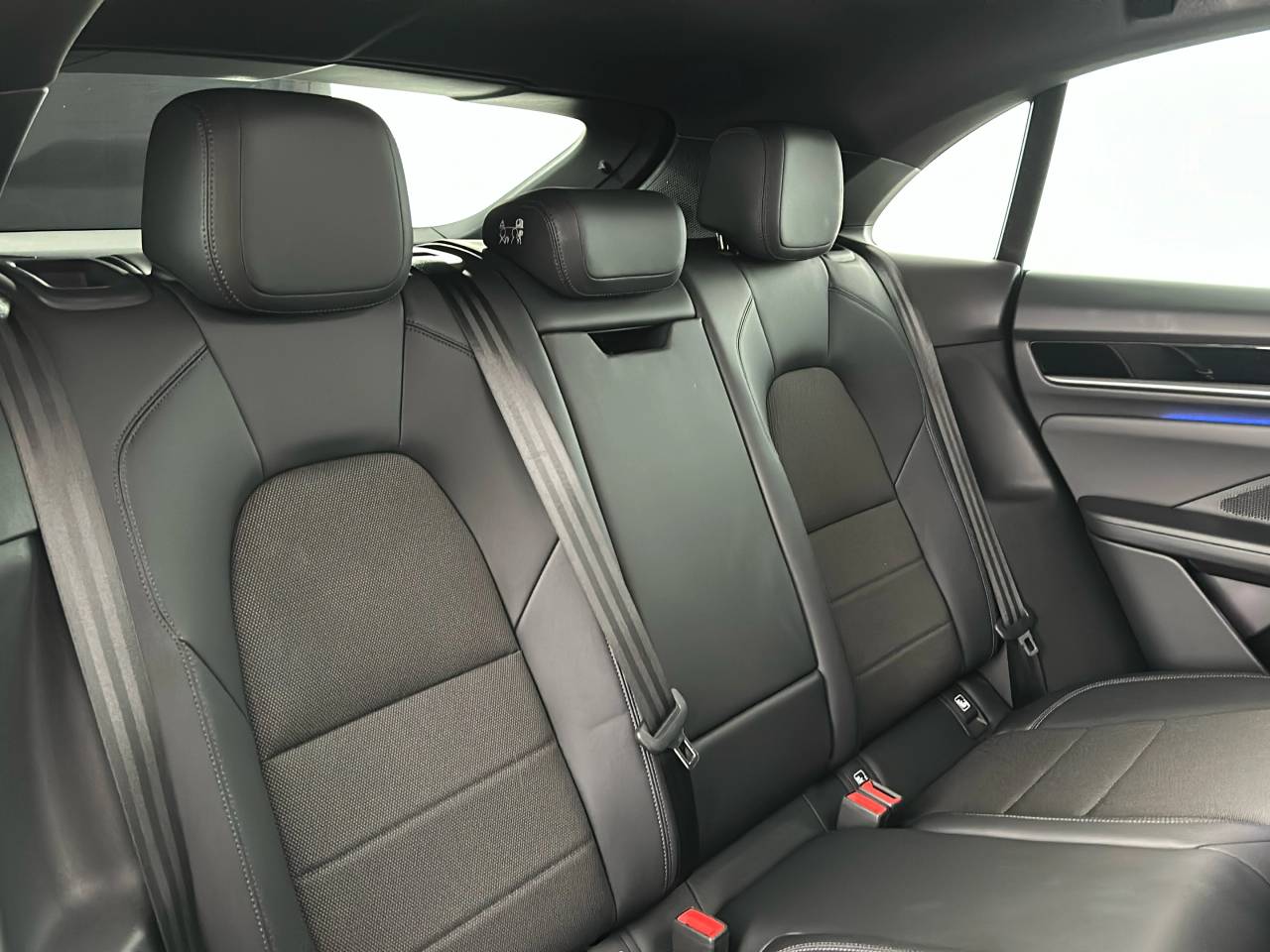 Macan 4 (17) image 15