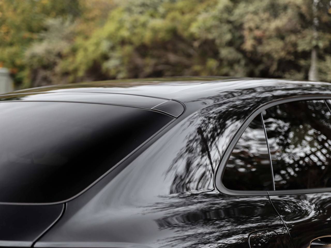 Macan (24) image 14