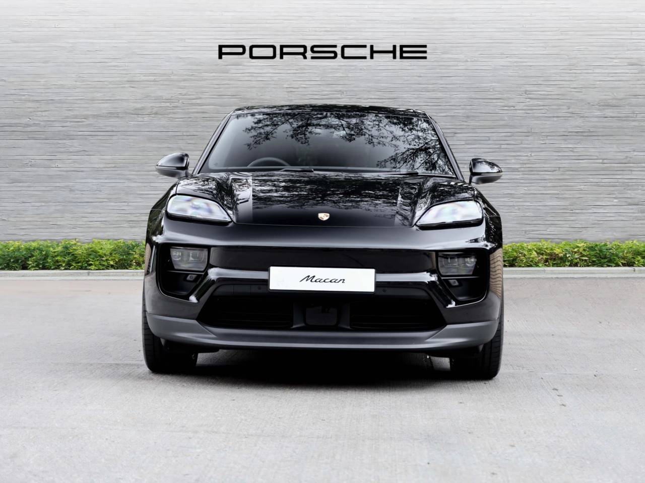 Macan (24) image 06