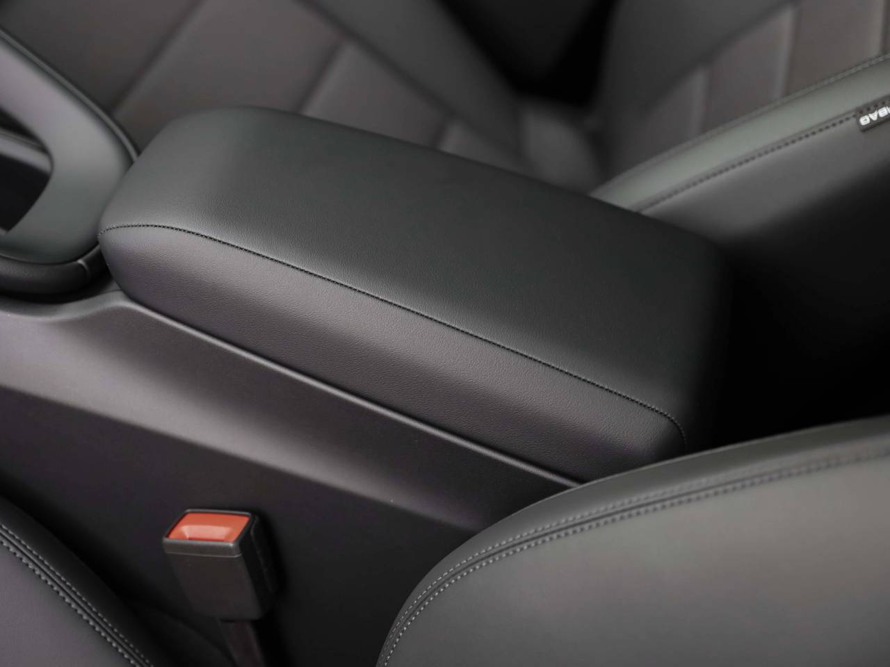 Macan (24) image 31