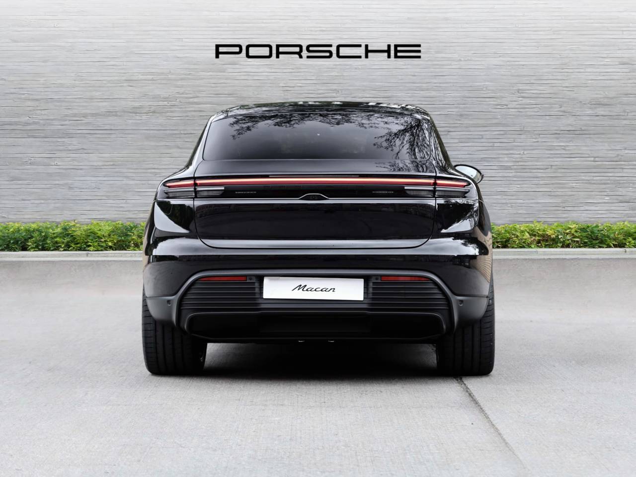Macan (24) image 05