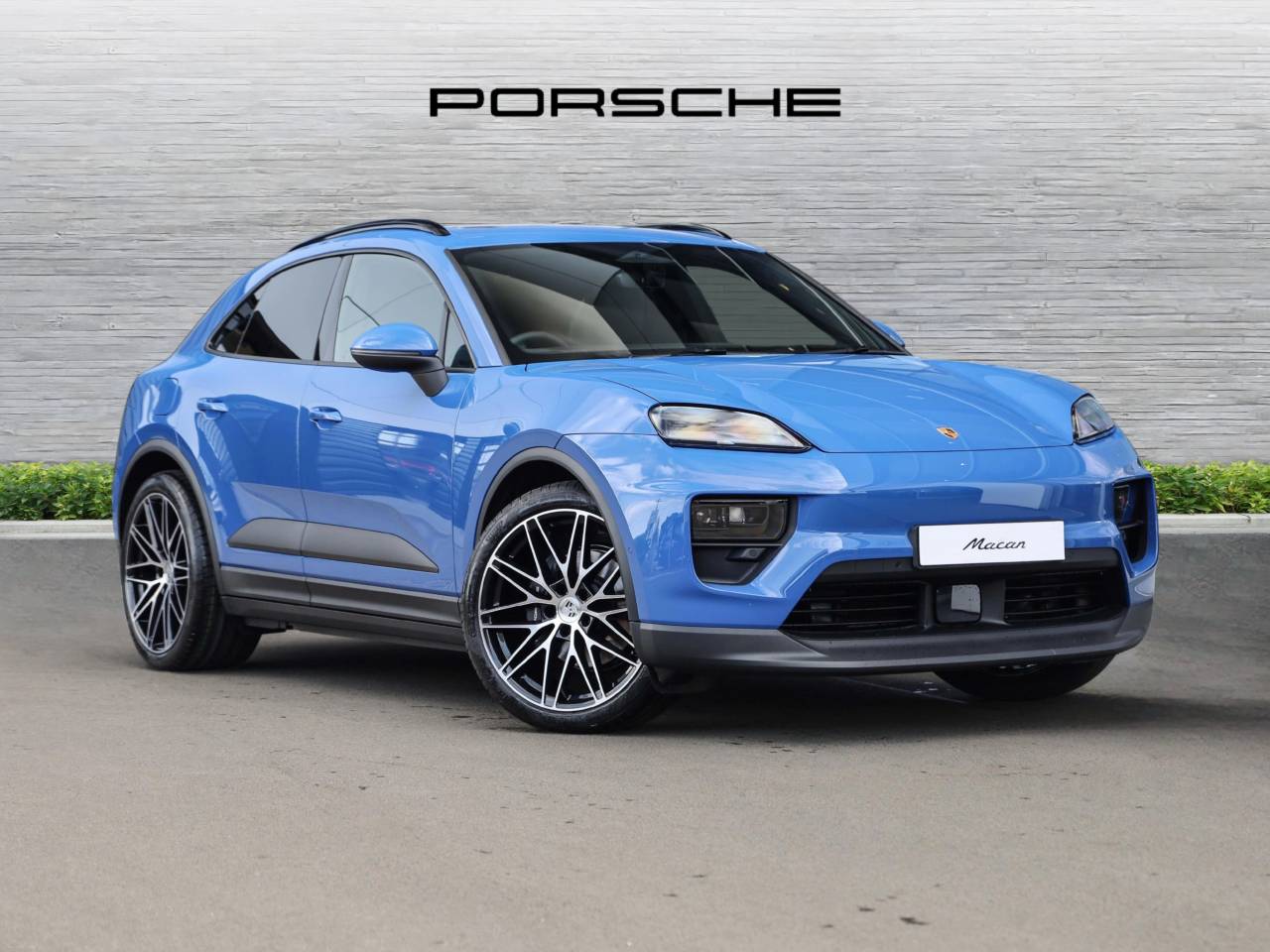 Macan 