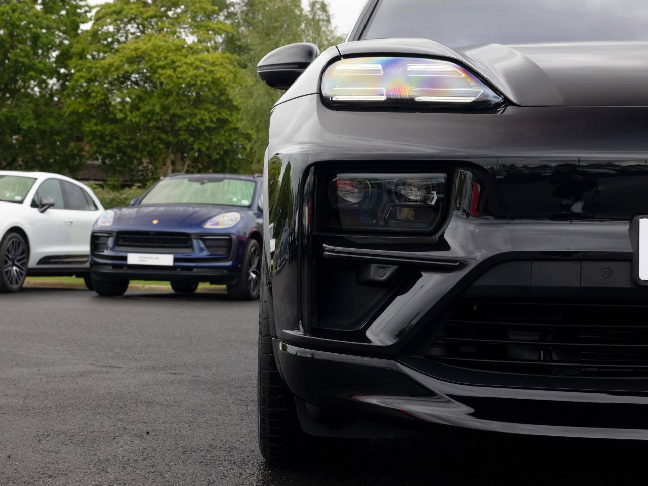 Macan (74) image 32