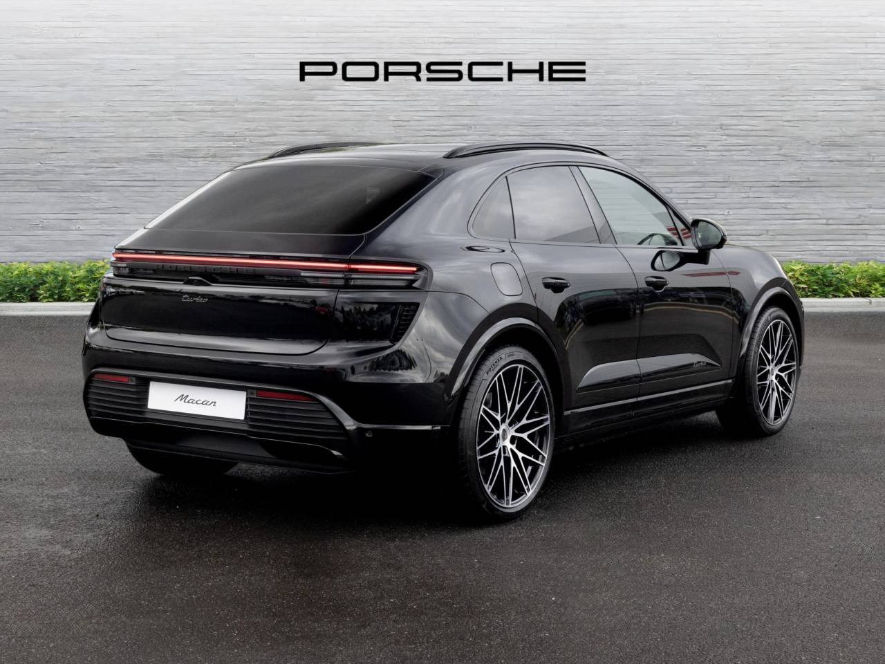 Macan (74) image 03