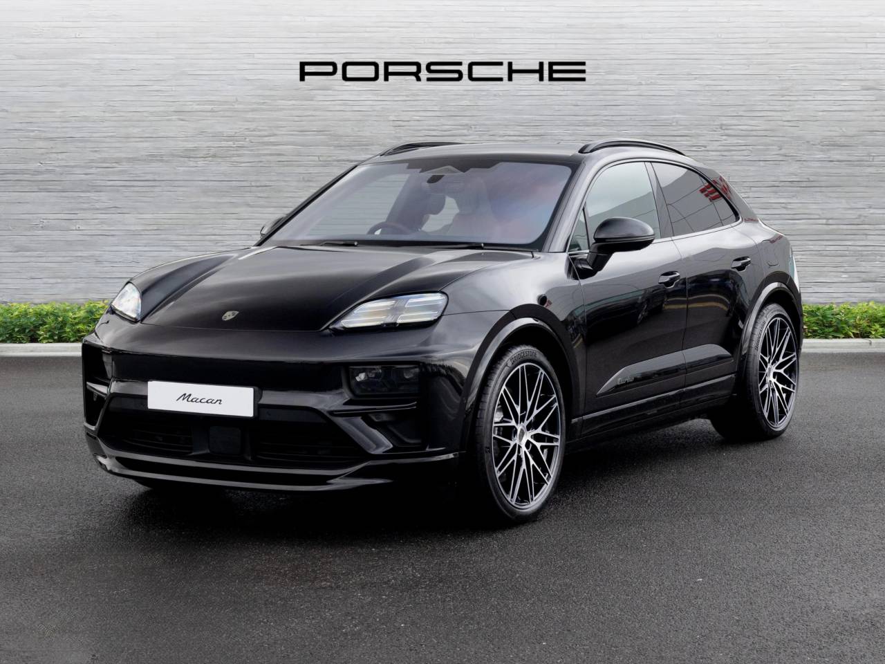 Macan (74) image 13