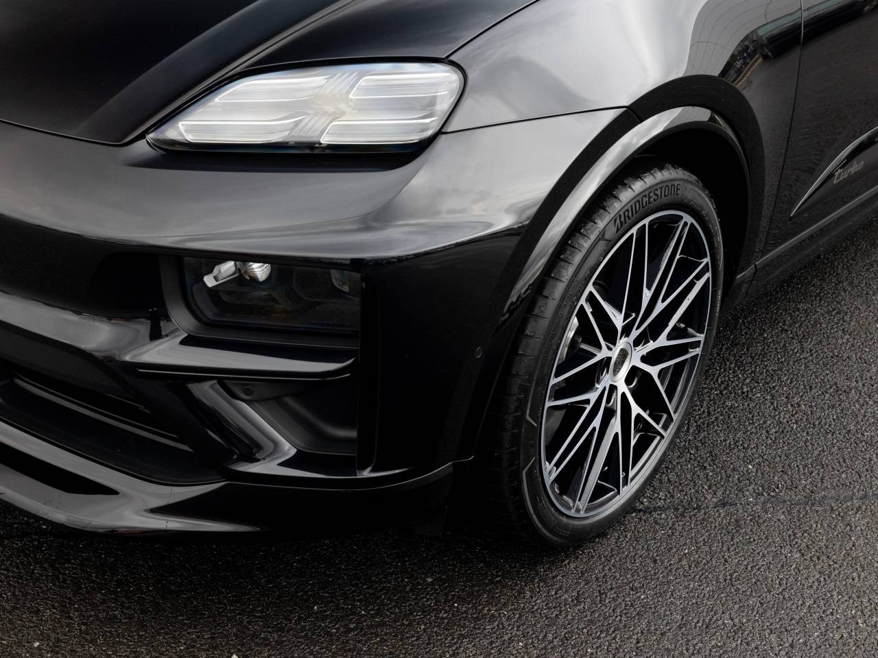Macan (74) image 18