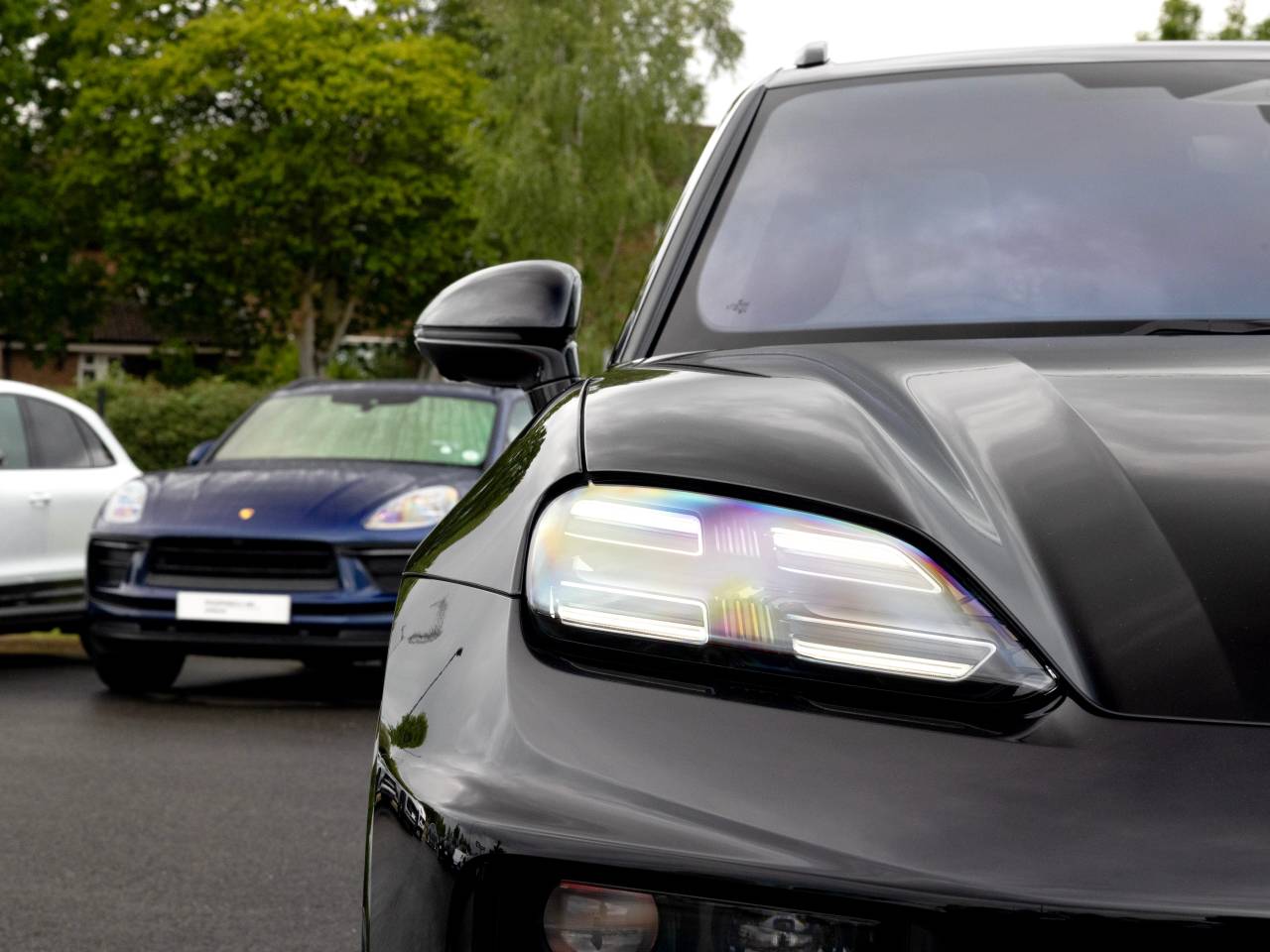 Macan (74) image 21