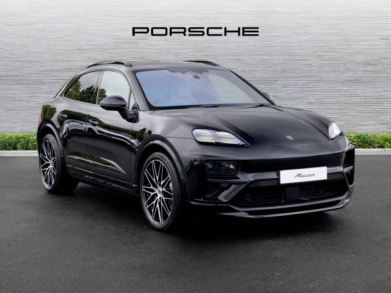 Macan (74) image 15