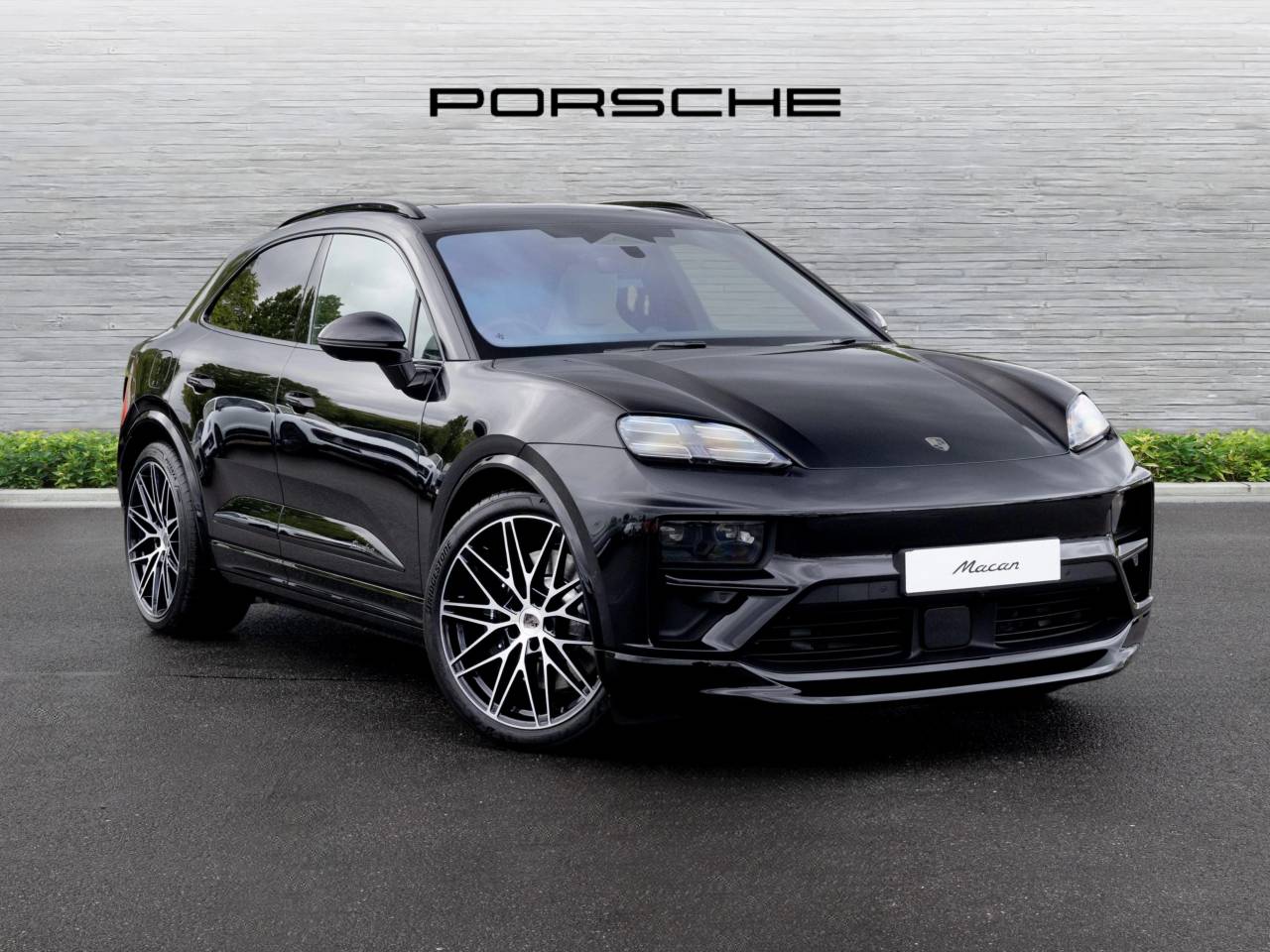 Macan 