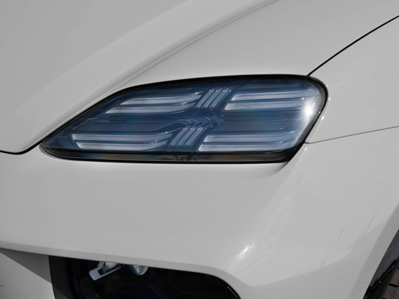 Macan (90) image 16