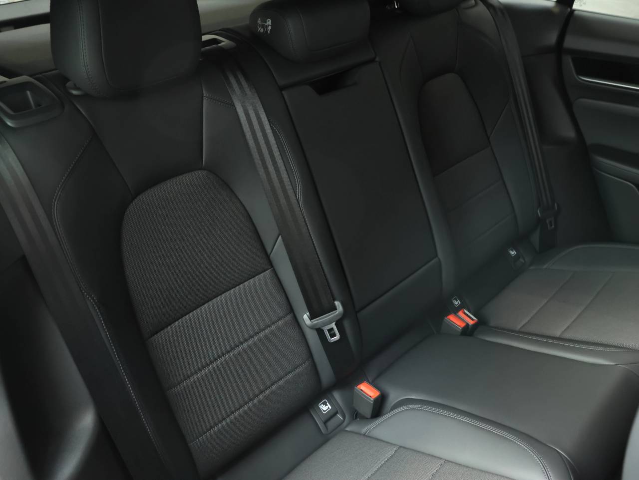 Macan BASE (13) image 21