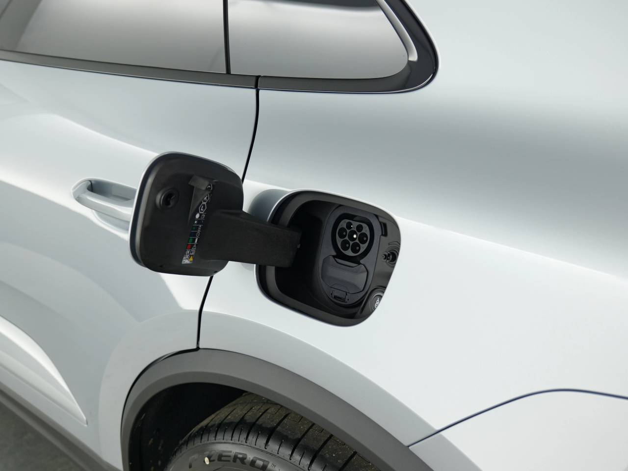 Macan (100) image 13