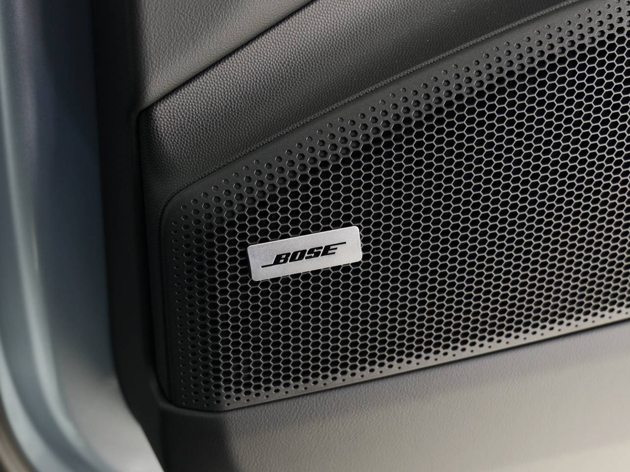 Macan (100) image 31