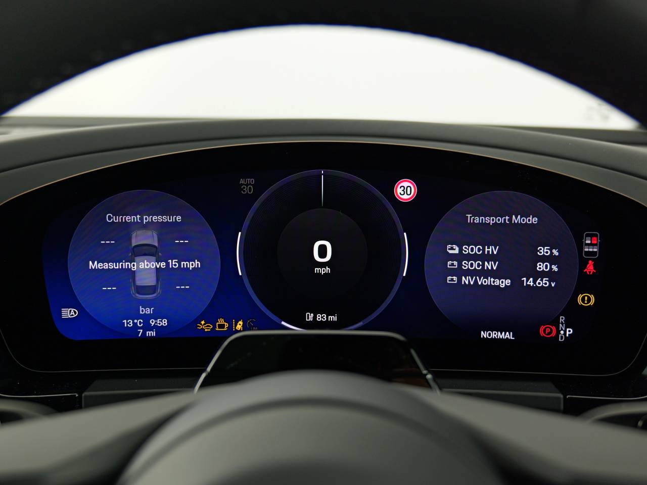 Macan (100) image 19