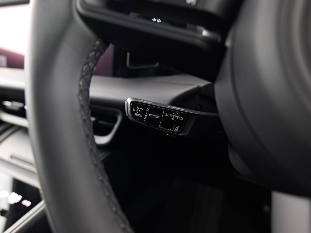 Macan (100) image 24