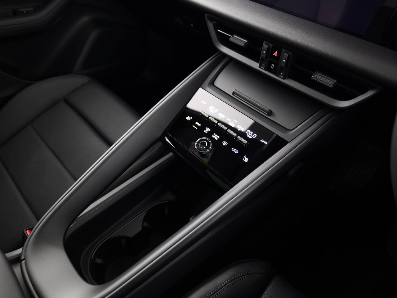 Macan (100) image 22