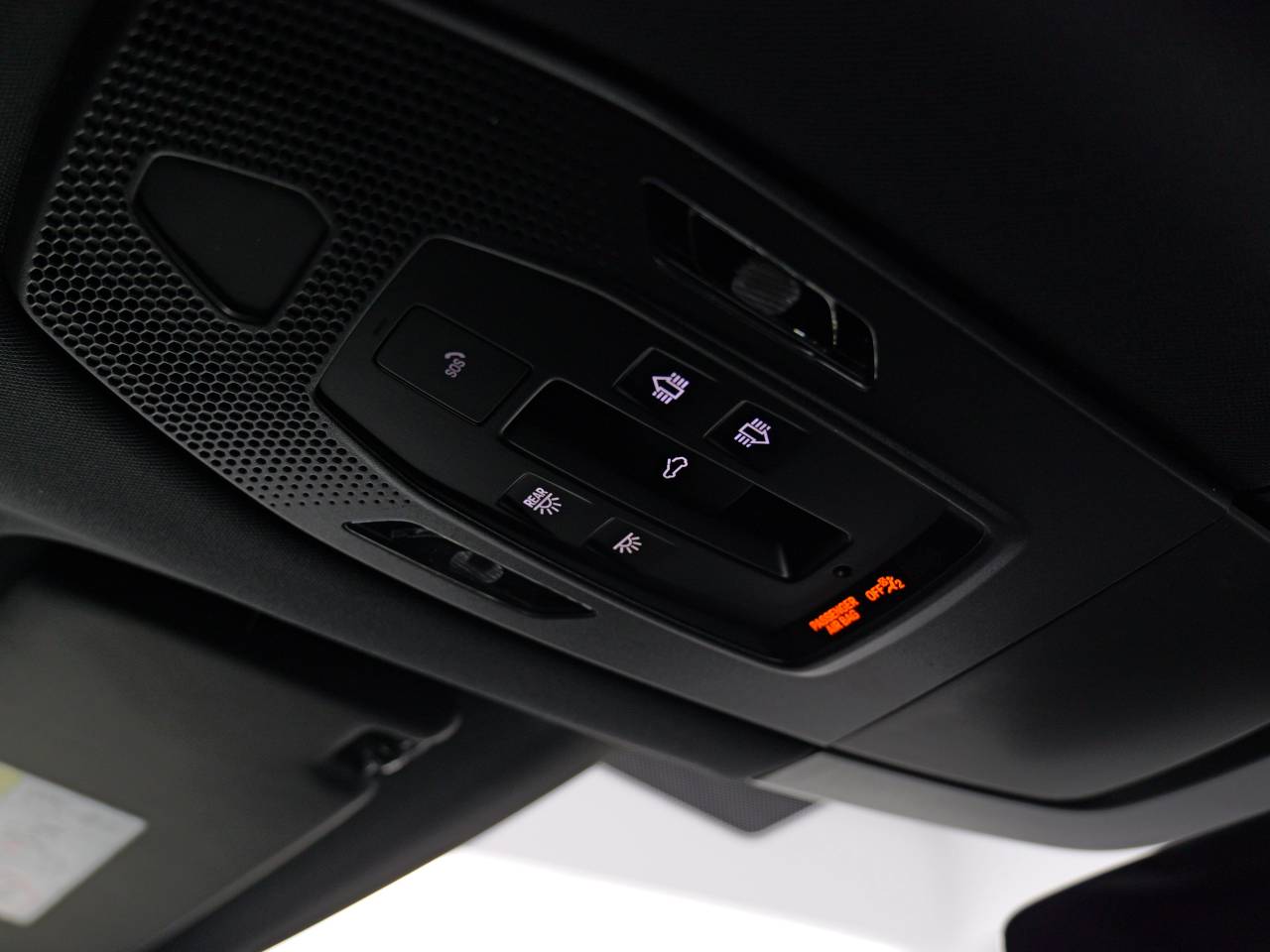 Macan (100) image 27