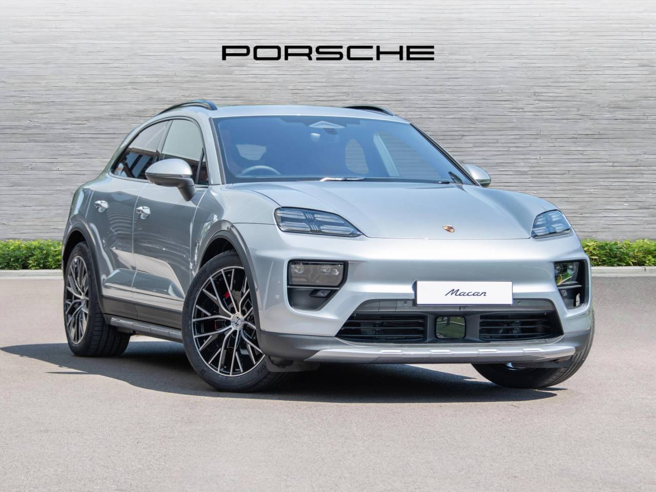 Macan 