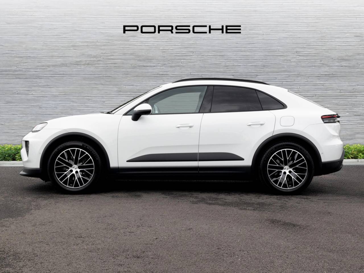 Macan (85) image 12