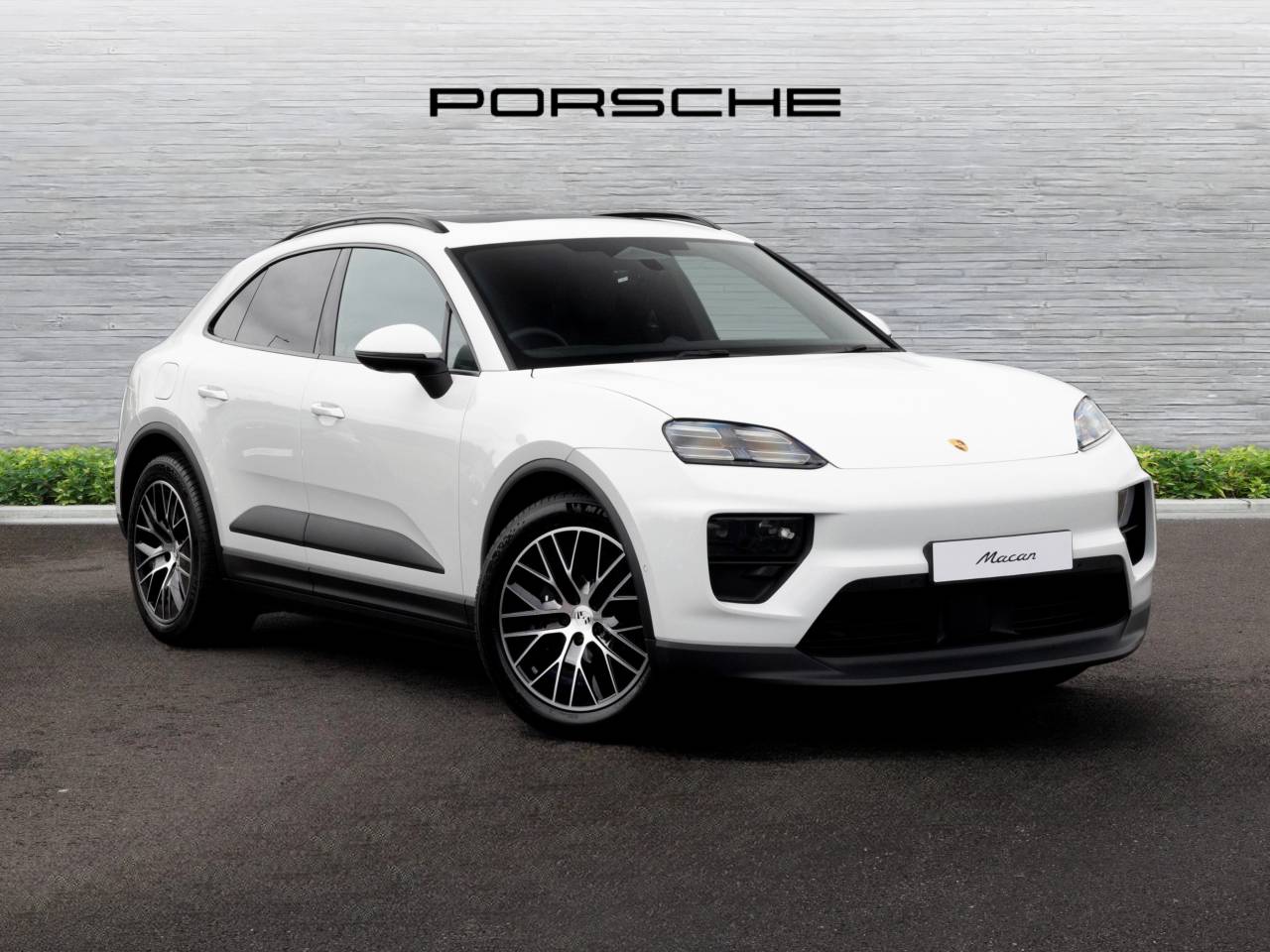 Macan 