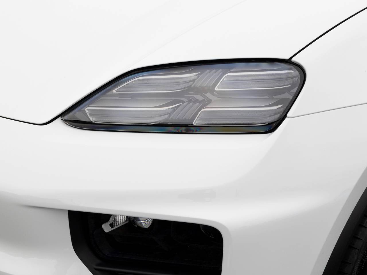 Macan (85) image 26