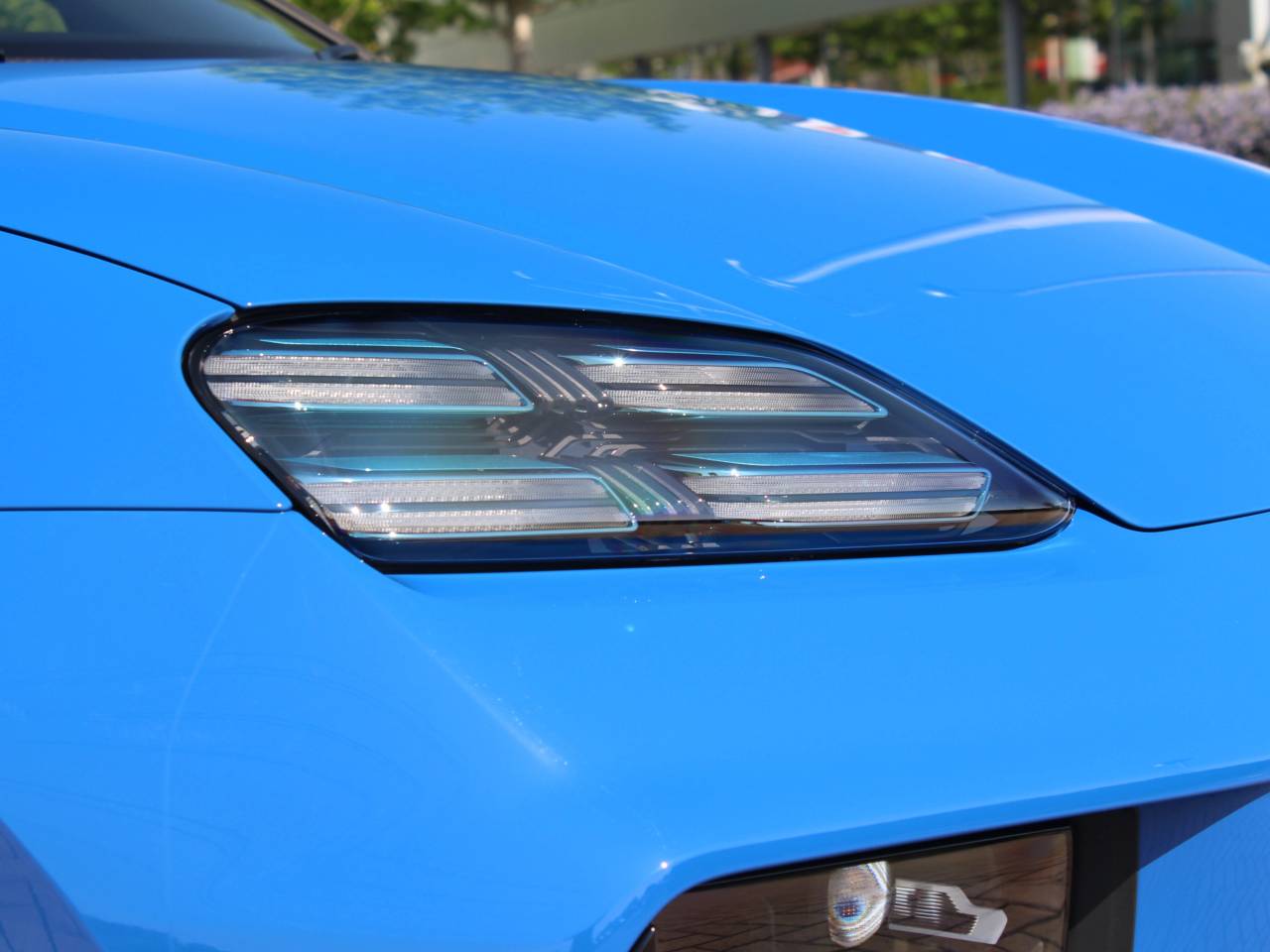 Macan (36) image 10