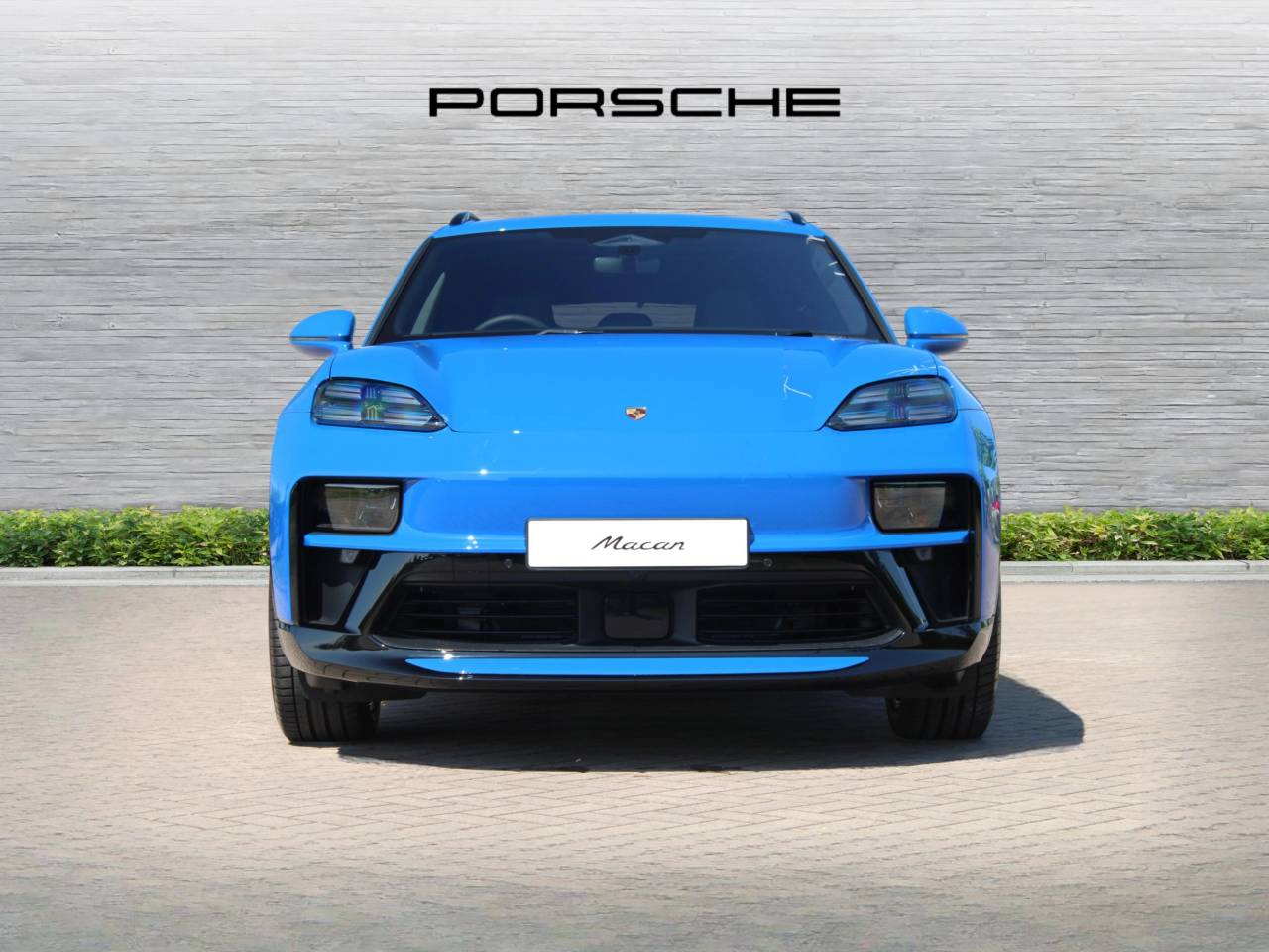Macan (36) image 08