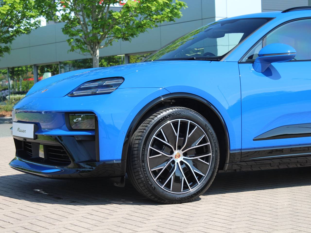 Macan (36) image 15