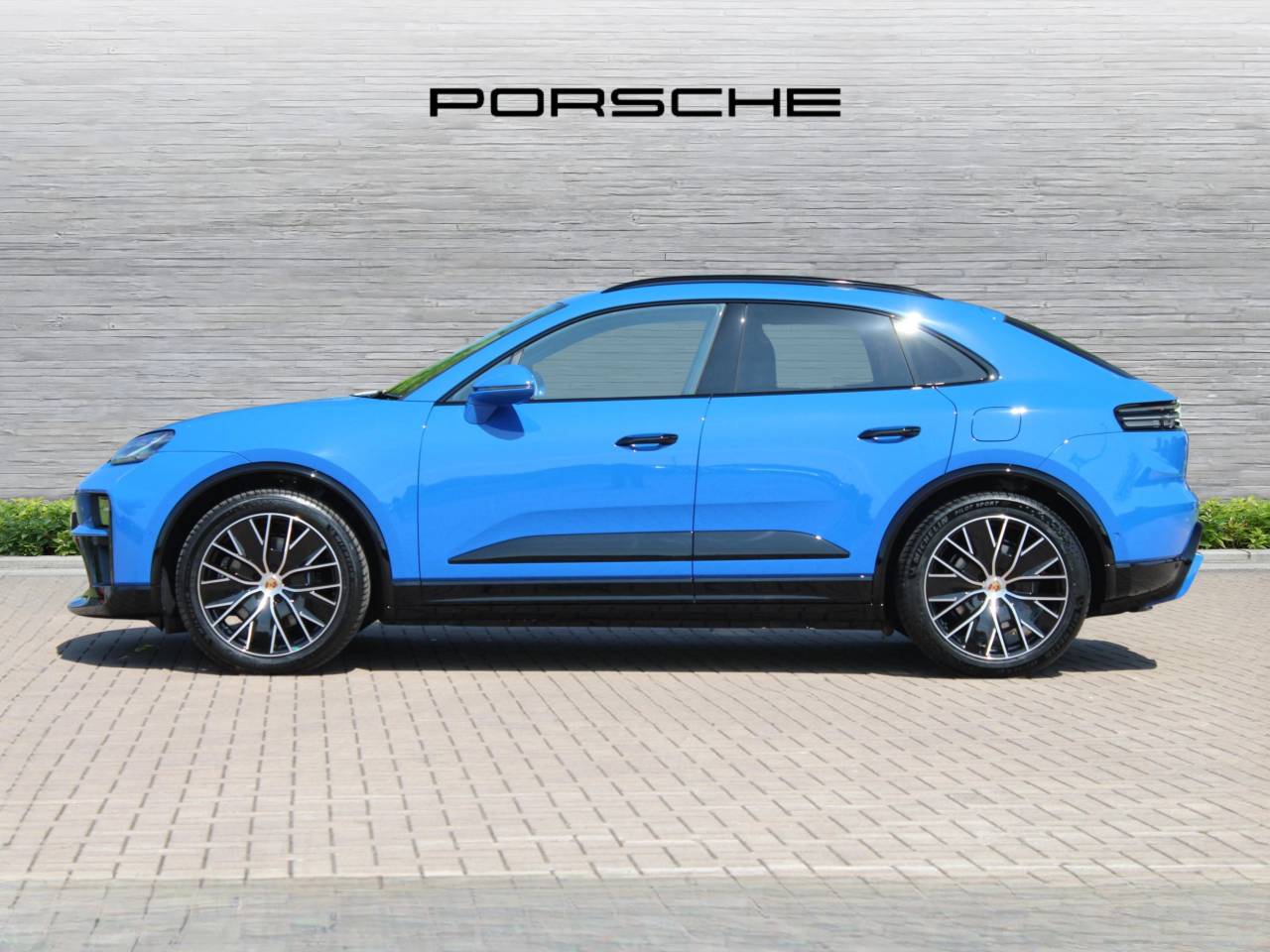 Macan (36) image 07
