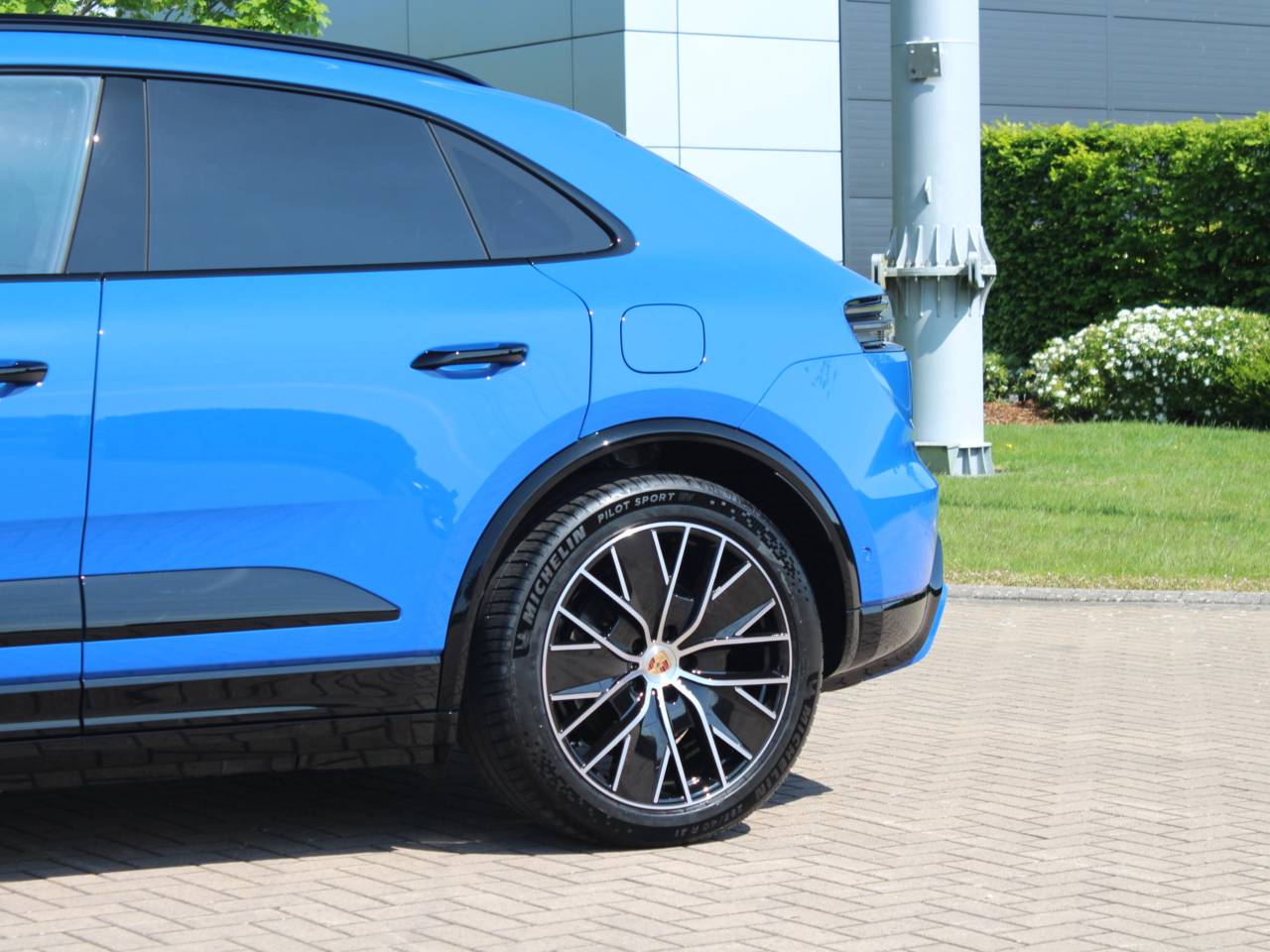 Macan (36) image 16
